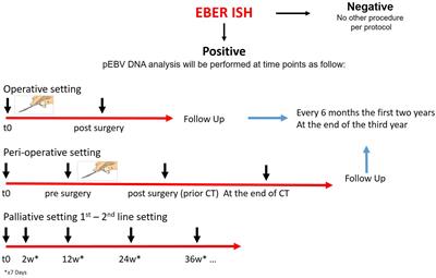 Plasma EBV DNA as a prognostic factor in EBV associated gastric cancer: a multicenter, prospective study (EBV PRESAGE study)